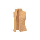 The Redefined Wind Vest