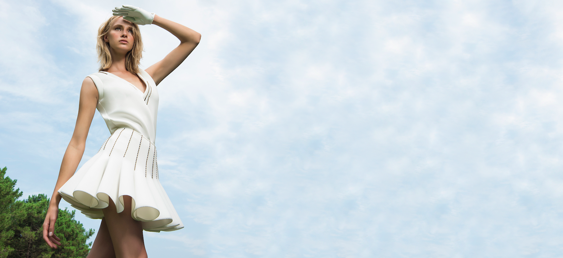 Browse The Collections